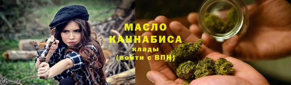 тгк Вяземский