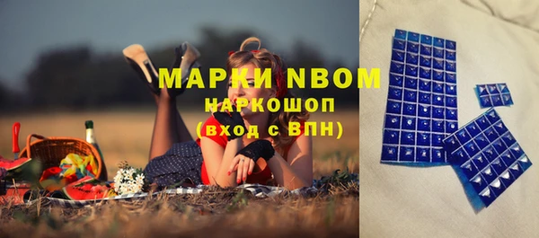 тгк Вяземский